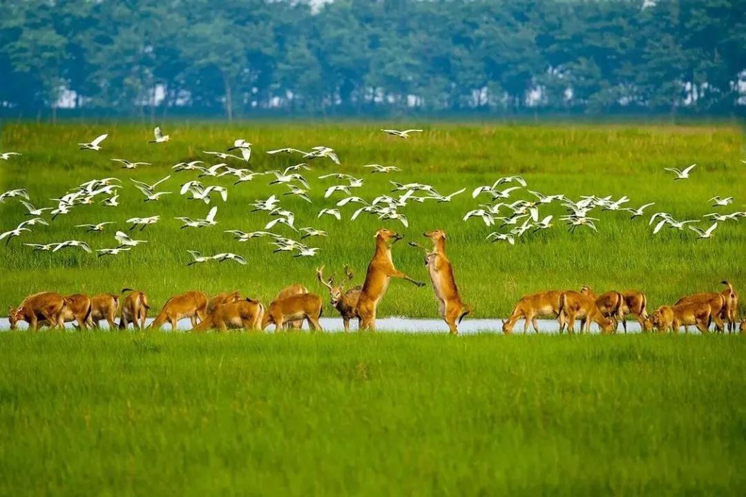 乘风破浪,幸会盐城